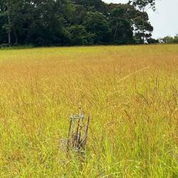 Wir passieren den Äquator, während sich die Äquatorsonne durch meine Sonnencreme frisst 😎