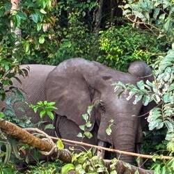In aber wieder ab in den Wald