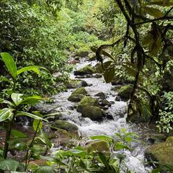 Small river in park