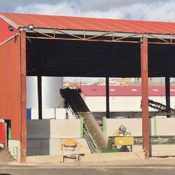 Die Bänder der Ernteabfälle ( Zweige+Blätter) laufen noch immer Tag und Nacht (Hochsaison).