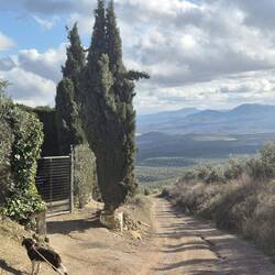 Erstmal bergab und tolle Aussicht.
