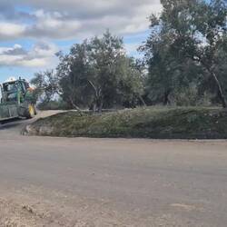 15:45 Uhr. Feierabend, Ernehelfer und Technik verlassen die Plantage...