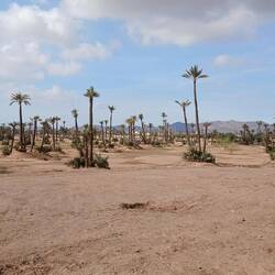 direkt neben der Stadt