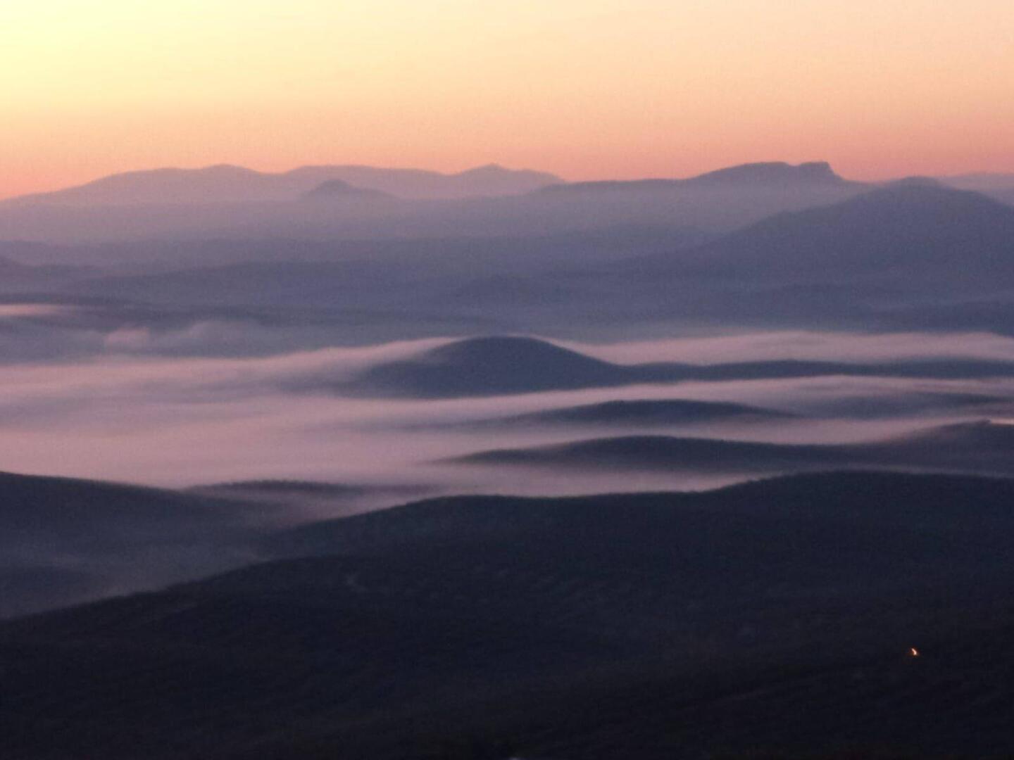 🐕‍🦺🚶‍♂️Gassirunde bei Sonnenaufgang. Nebel über den Plantagen.