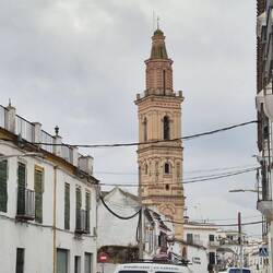 Nun in Ecija 🚶‍♂️🐕‍🦺🚶‍♀️. Happy hat Streß, doch wir müssen eine Auslauffläche für sie finden.