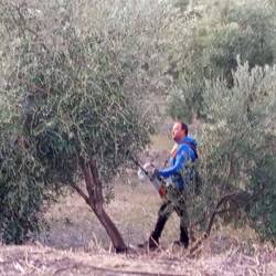 Auch in den Plantagen wird schon gearbeitet...