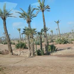 Stadtrand Marrakesch