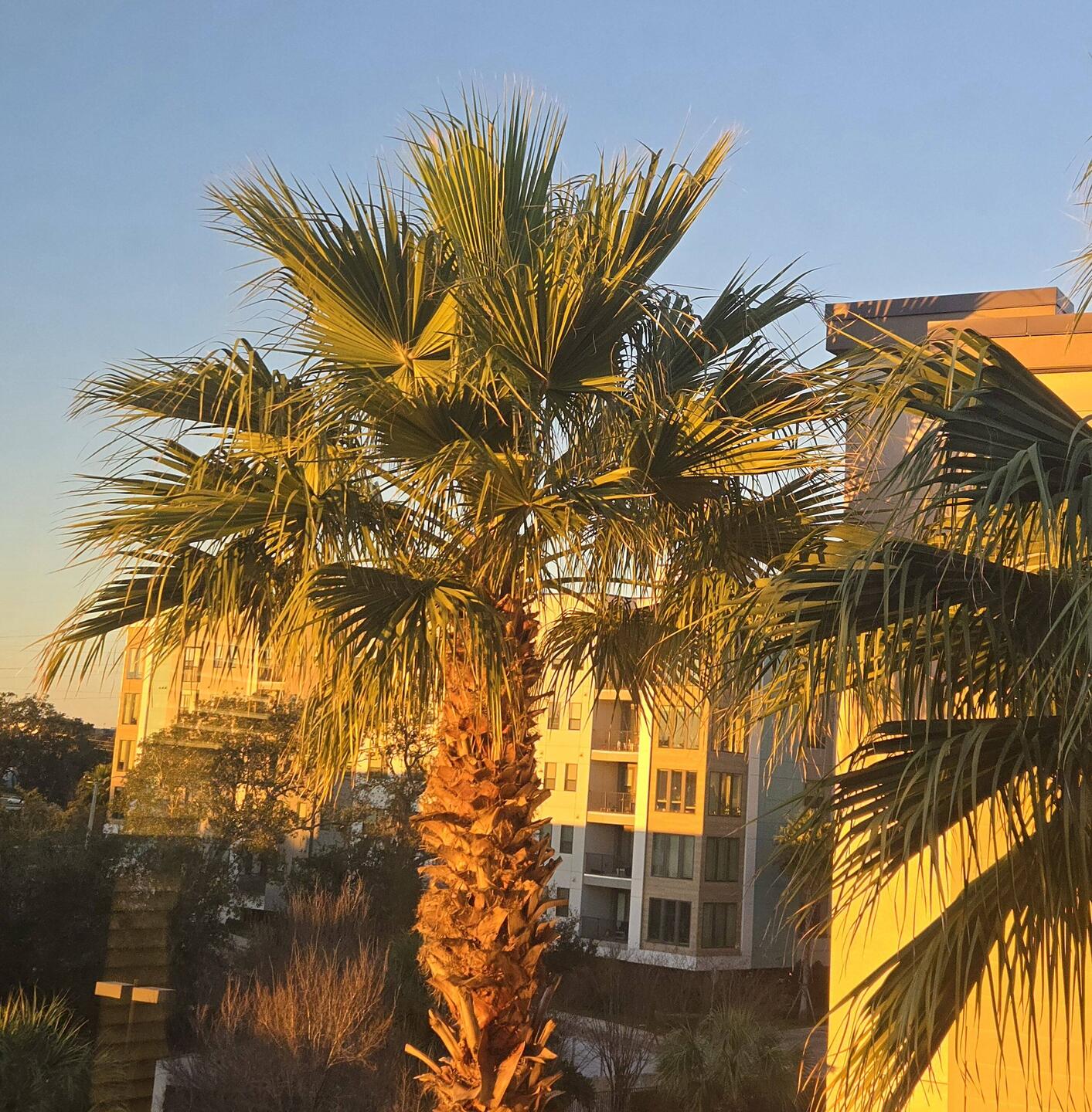 I love sitting out on the balcony having coffee.