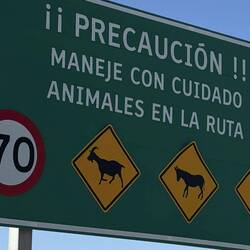 Vorsicht!! Fahren Sie vorsichtig, Tiere auf der Straße