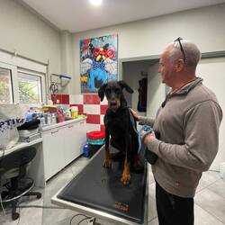 ..sie ist sooo brav 😇🐾👏🏻