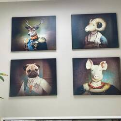 ..zum Glück war keine Narkose nötig und mit €100wären wir in🇵🇪nicht ausgekommen denke ich..