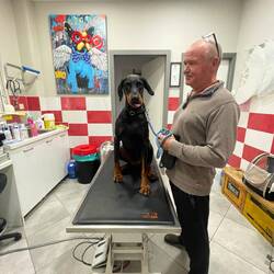 ..sehr lecker war der großzügig Snack 🐾😋