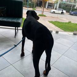 ..in der Praxis daheim ist sie nervös und heute ganz entspannt👍🏻