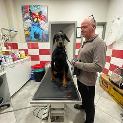 ..man merkt ihr die Schmerzen an 😥