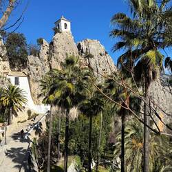 Für uns überraschend, dass auch in den Bergen so große Palmen zu finden sind 😮