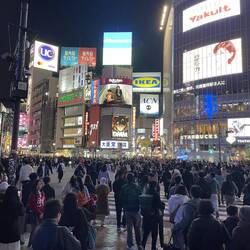 Shibuya Crossing