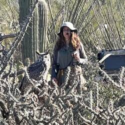 Great Horned Owl with one of the handlers in the background.
