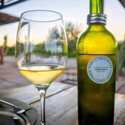 Besuch in der Bodega (Weingut) in Villa Union