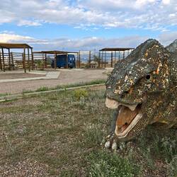 Wach-Saurier am Camping Ischigualasto