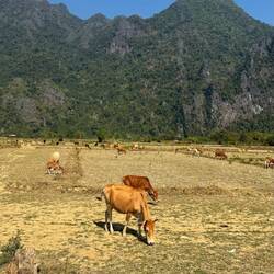 Vang Vieng-Tal