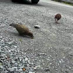 Beide ziemlich neigierig