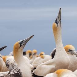 Beim Stretching 🙃