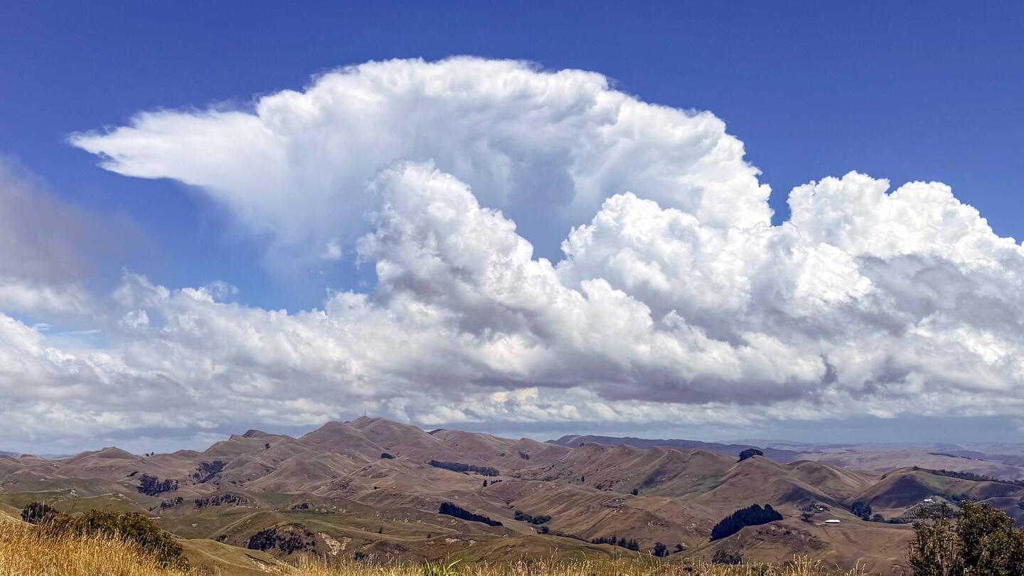 Aotearoa - Land der langen weissen Wolke