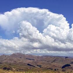 Aotearoa - Land der langen weissen Wolke