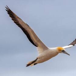 Wunderschöne Tiere 🤩