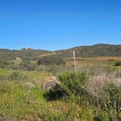 Wineries & vineyards abound