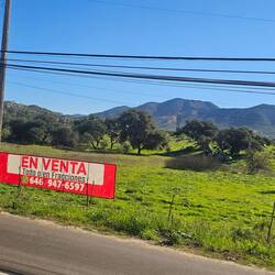 The Napa region of Baja