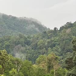 Behind the village, a green wall of tree covered hills swept up towards the sky.