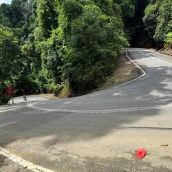 There were some crazy switchback hills to climb and swoop down!