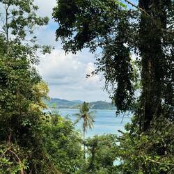 Rare gaps through the thick foliage afforded picture perfect glimpses of bright blue sea and sky.