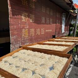 Drying noodles