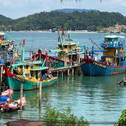 Fishing boats in vibrant primary colours were being unloaded at rickety wooden docks.