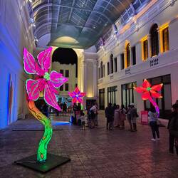 Pasaje de la Revolución