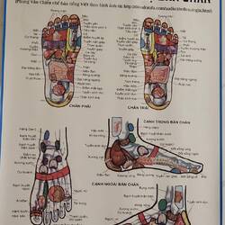 Les points de réflexologie 🤪