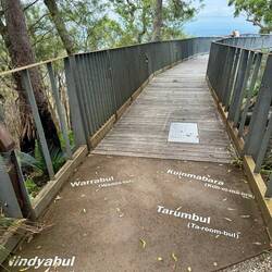 Mount Archer National Park Boardwalk