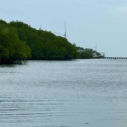 Spot the boats hiding in the mangroves