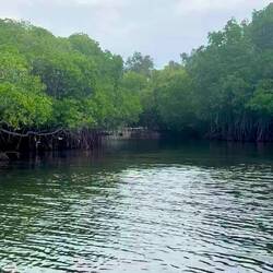 A surprise down the inlet