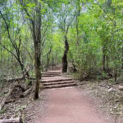 der Weg zum Aussichtspunkt, bei heißen gefühlten 43 Grad, wegen der hohen Luftfeuchtigkeit