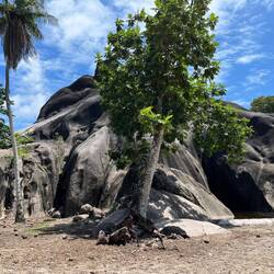 Die ganze Insel und viele der Strände sind von den dunklen Granitfelsen geprägt