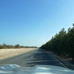 auf gut ausgebauter Straße dauert die Fahrt zurück zum Schiff rund 30 Minuten