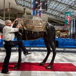 Kamelreiten wollte Britta auch noch...