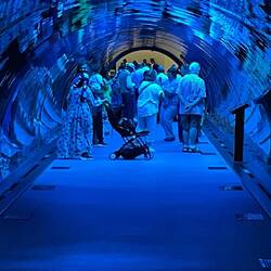 das berühmte Aquarium - kostet Eintritt