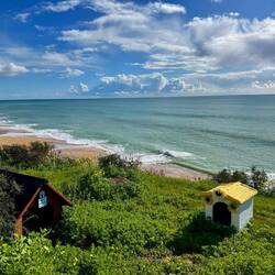 Home with a view for feral cats
