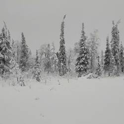 Rakitsanaapa with Korvatunturi in the distance.