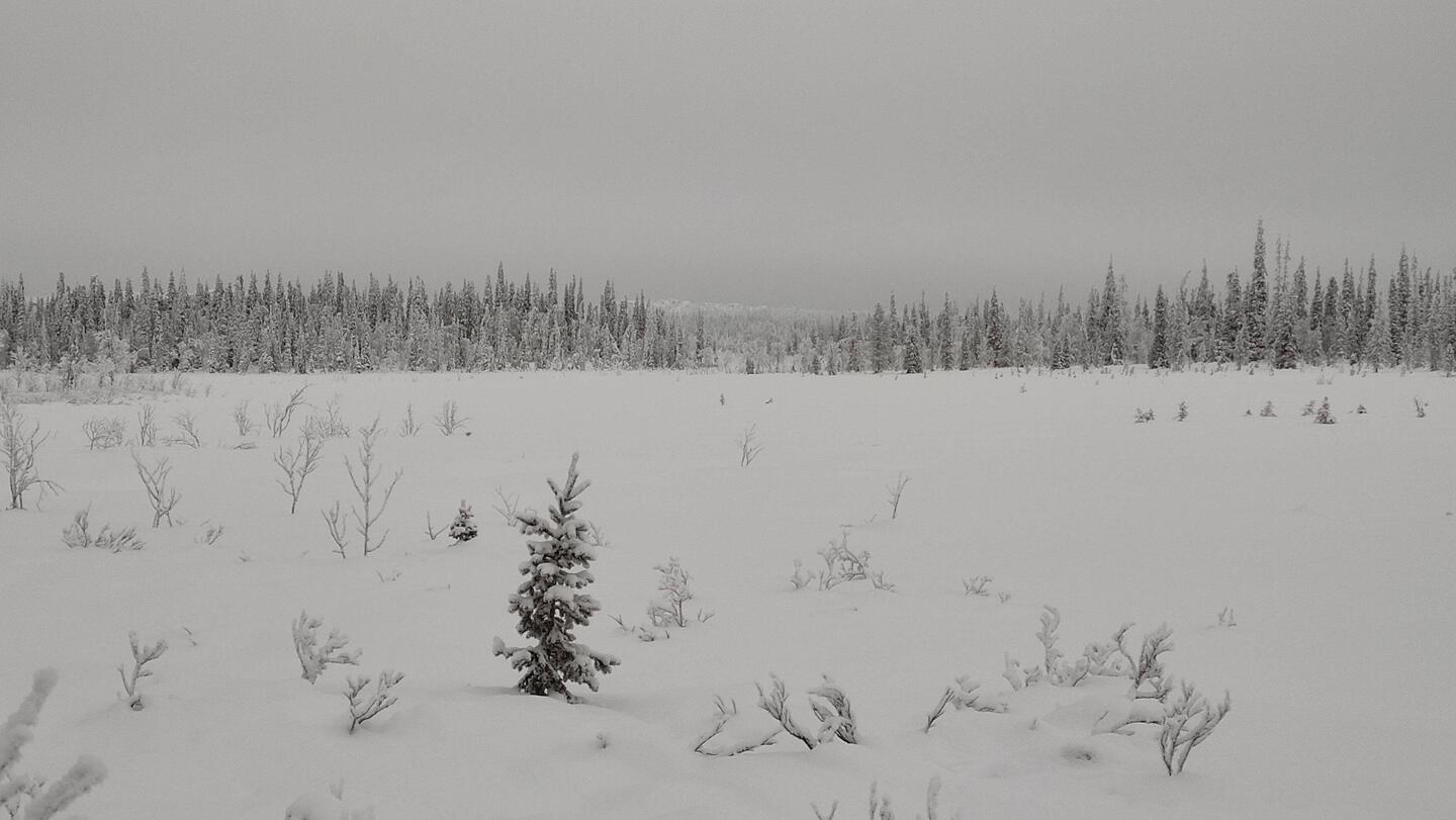 Korvatunturi in the distance.
