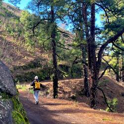 doch dann hat sich die Sonne durchgesetzt. Da macht das Wandern doch viel mehr Spaß